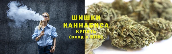 МДПВ Богородицк