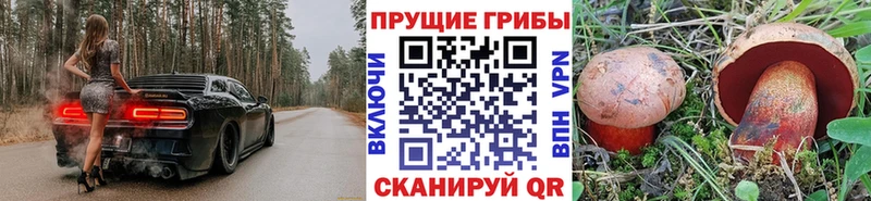 Купить закладки  Биробиджан  Галлюциногенные грибы мицелий 