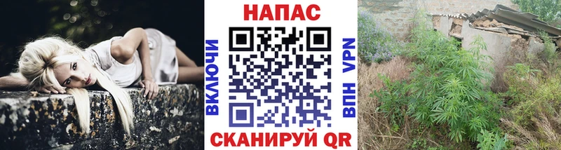 Конопля THC 21% Купить где Биробиджан
